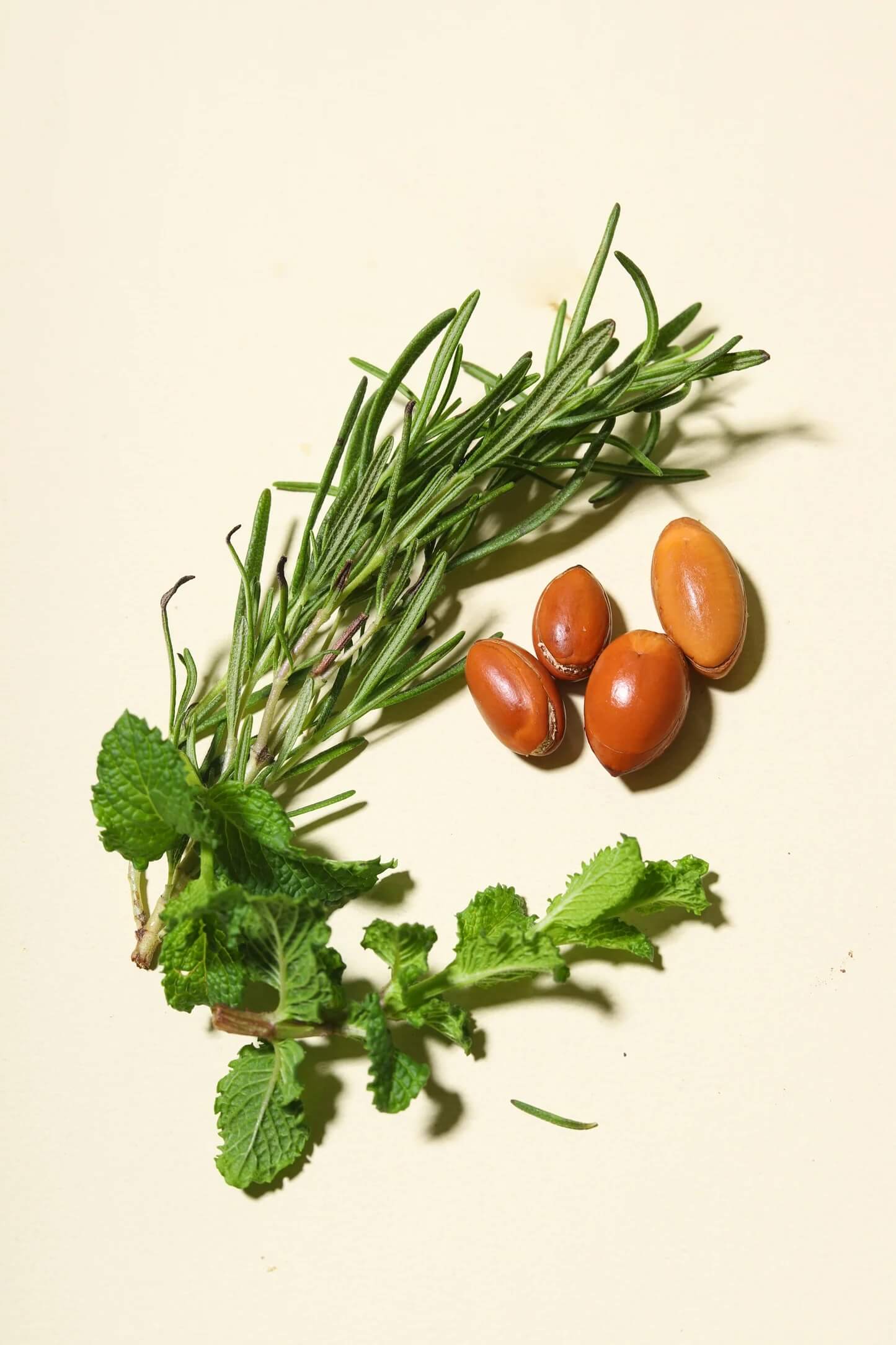 Rosemary Mint Revitalizing Shampoo